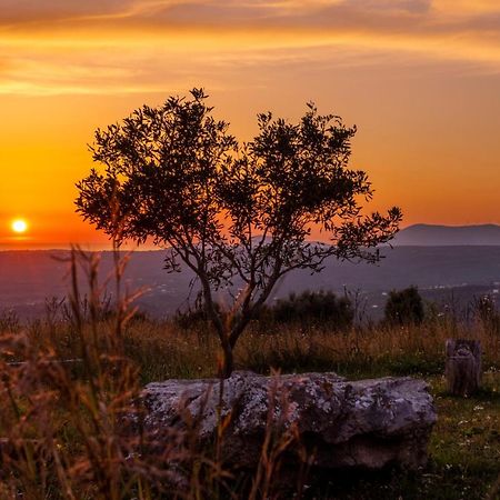 Chamaloni Cottages Фінікунда Екстер'єр фото